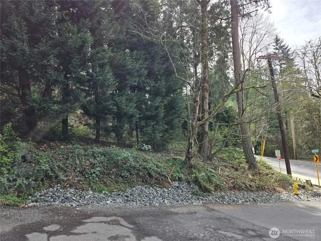 100 210th Avenue NE Sammamish WA 98074