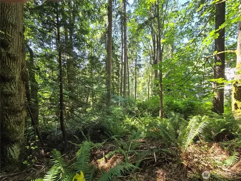 100 210th Avenue NE Sammamish WA 98074