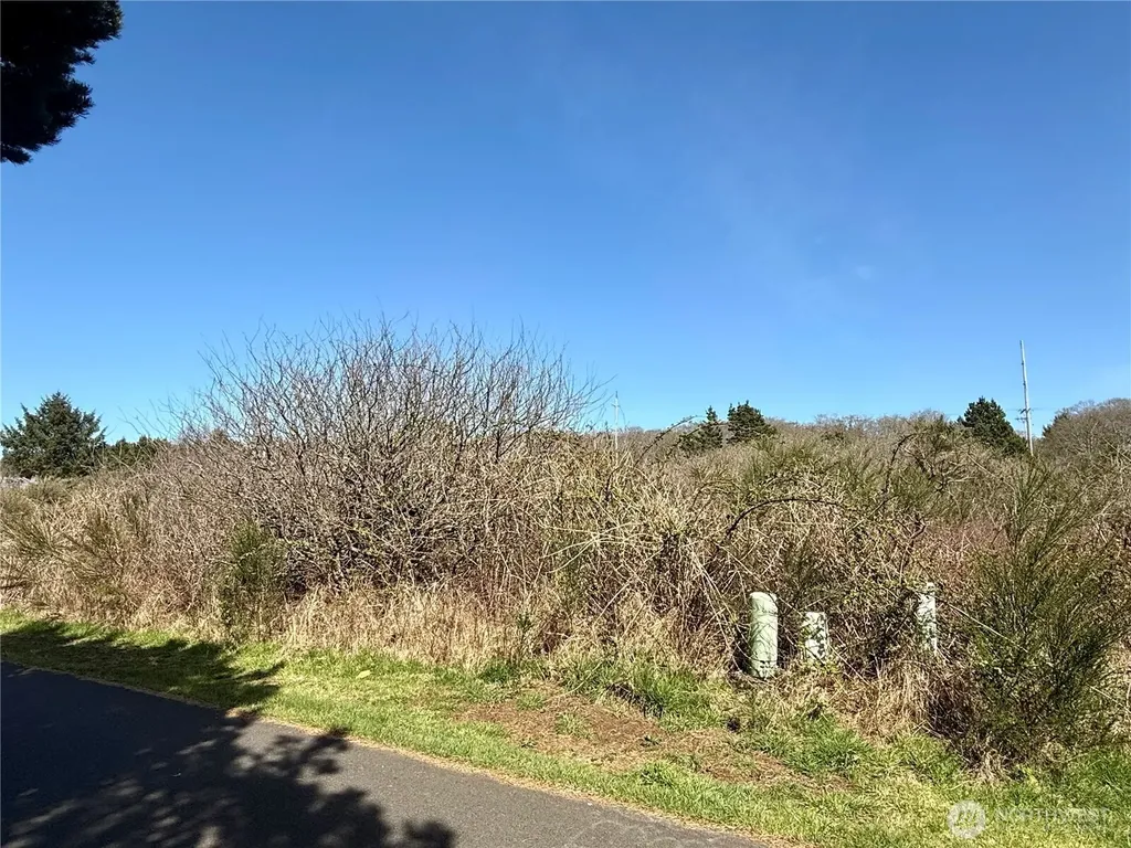 2 Francis Seamore Lane Grayland WA 98547