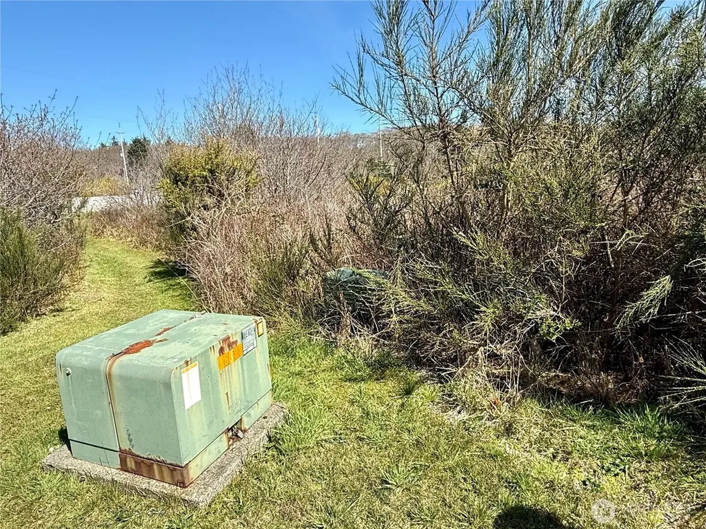 2 Francis Seamore Lane Grayland WA 98547