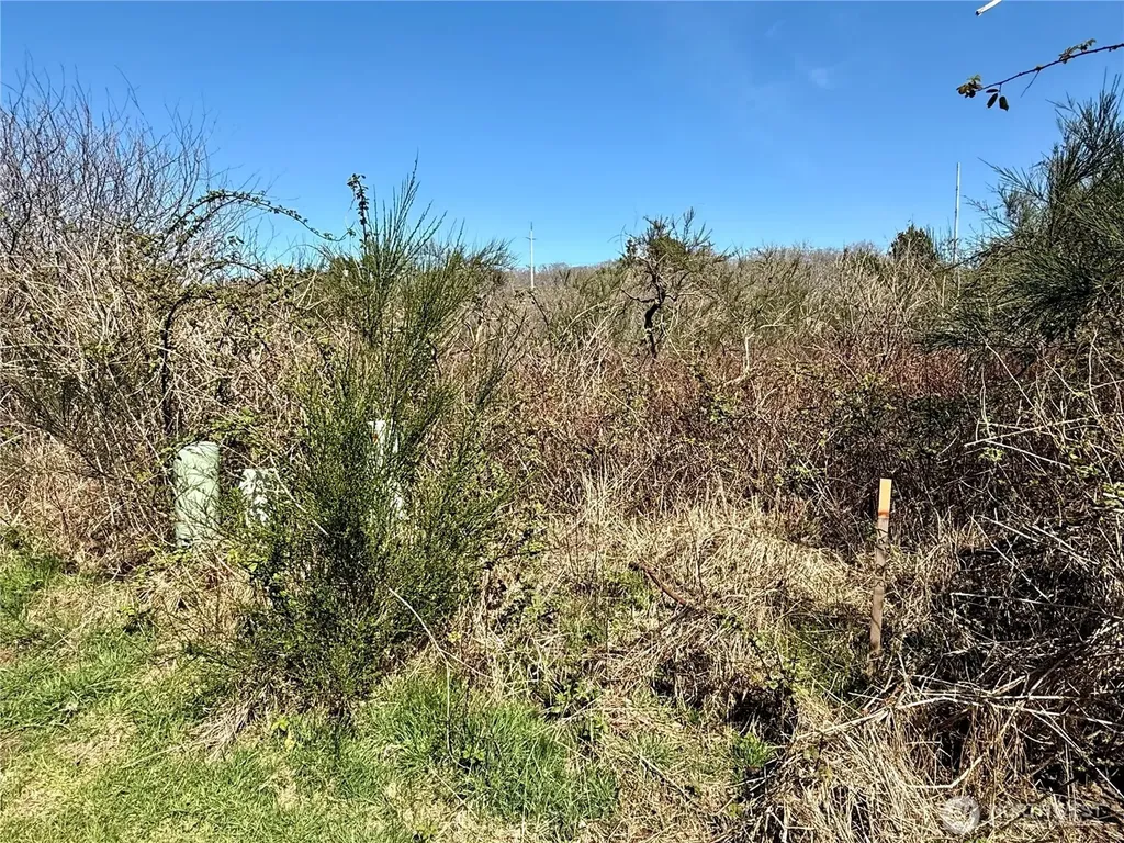 2 Francis Seamore Lane Grayland WA 98547