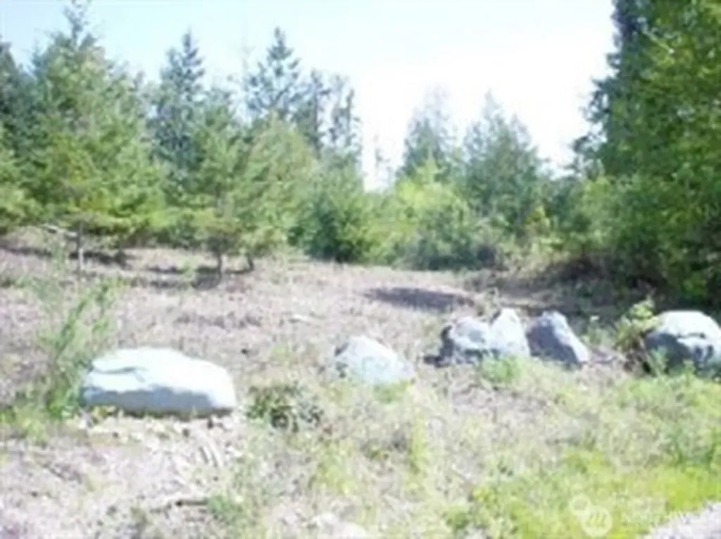 1111 Whiteman Road Longbranch WA 98351