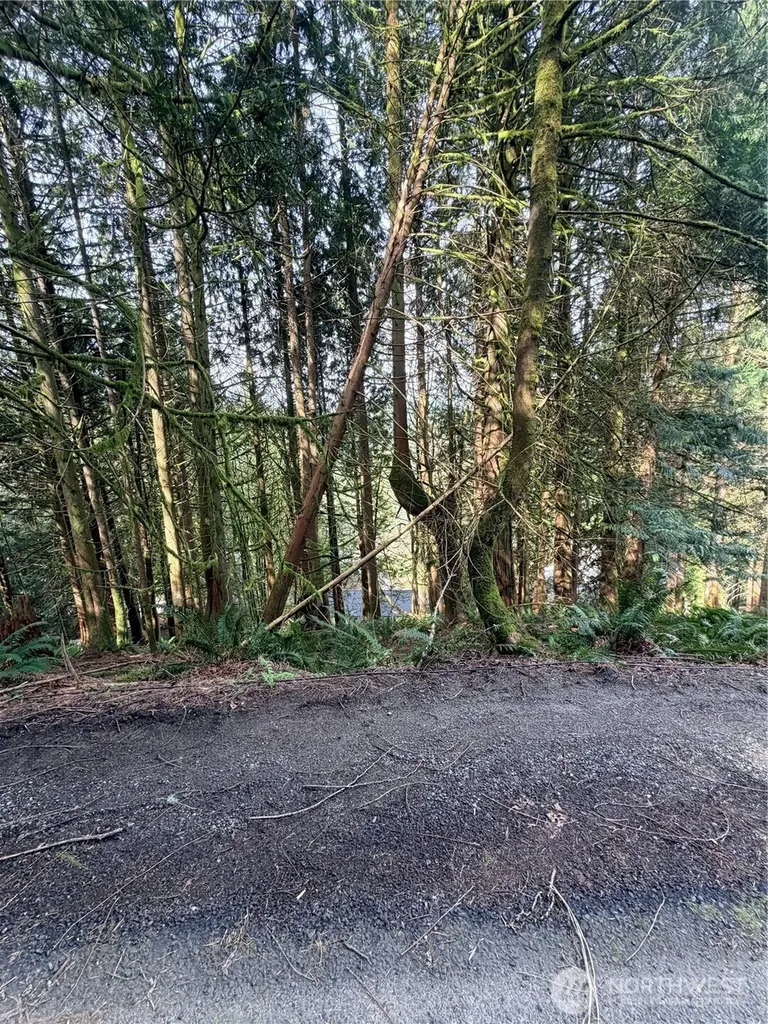 12 Valley View Circle Bellingham WA 98229