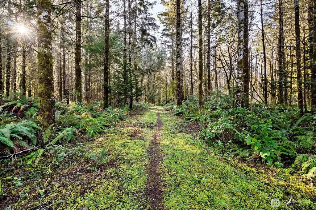 0 SE Totten Shores Drive Shelton WA 98584