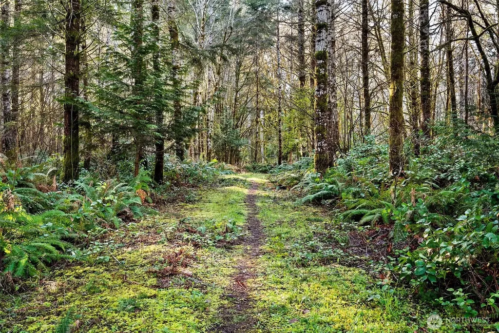 0 SE Totten Shores Drive Shelton WA 98584