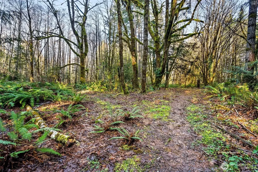 0 SE Totten Shores Drive Shelton WA 98584