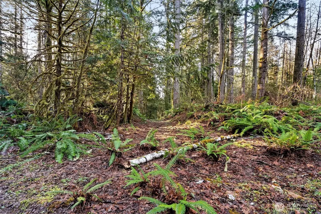 0 SE Totten Shores Drive Shelton WA 98584