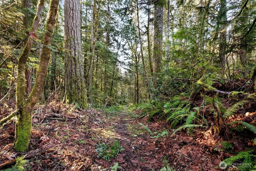 0 SE Totten Shores Drive Shelton WA 98584