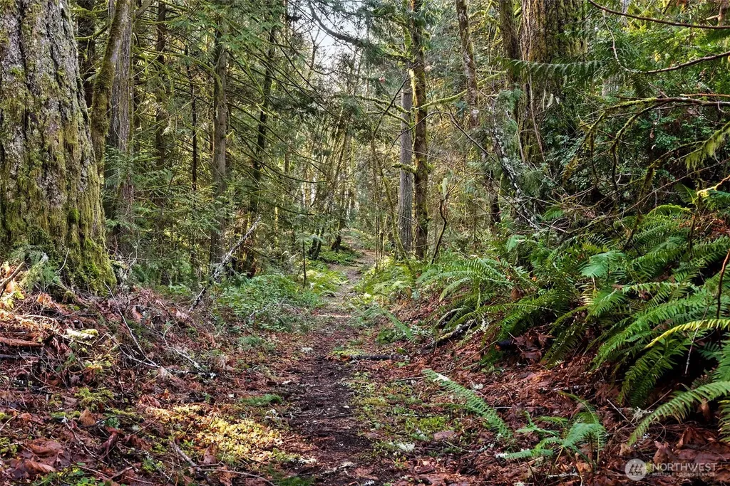 0 SE Totten Shores Drive Shelton WA 98584