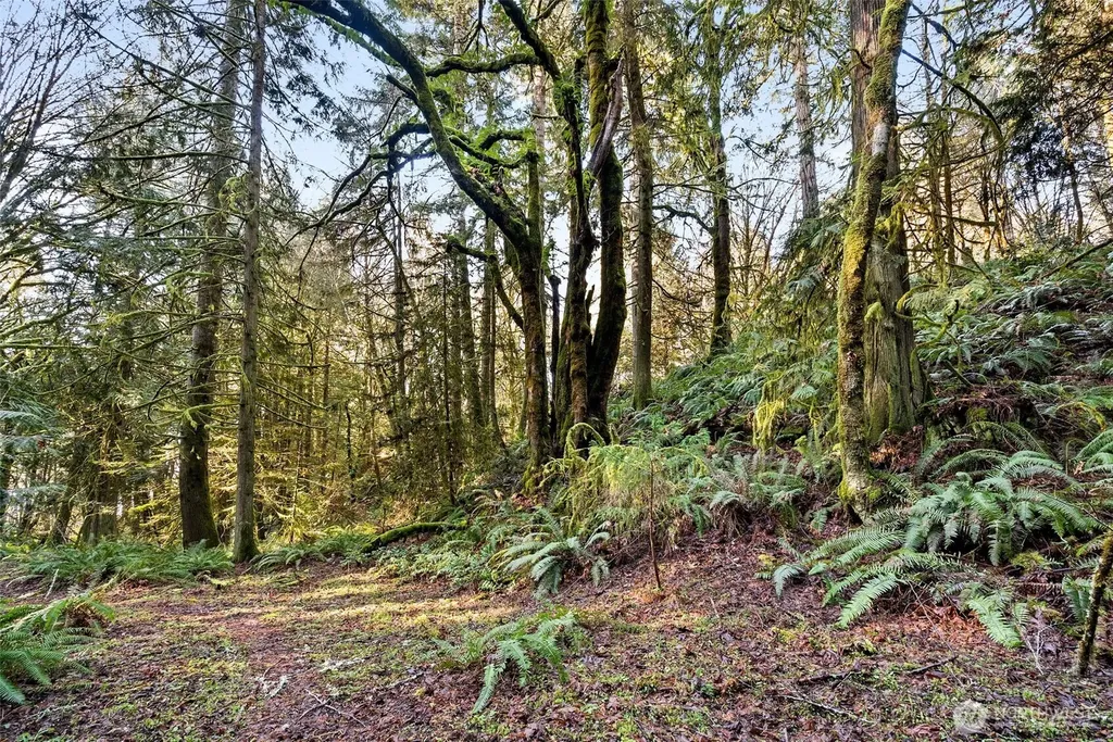 0 SE Totten Shores Drive Shelton WA 98584