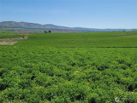 1612 Katen Road Ellensburg WA 98926