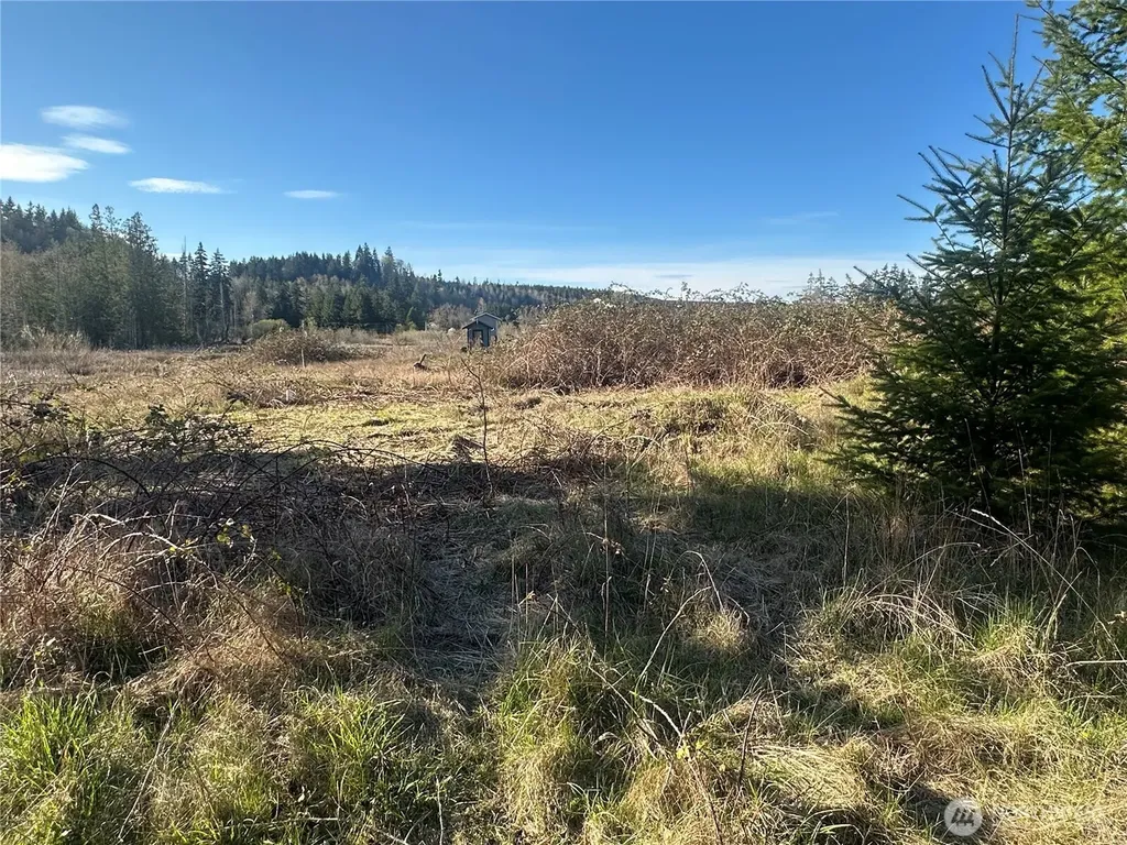 0 Embody Road Port Ludlow WA 98365