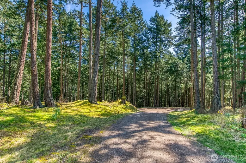 424 Logan's Run Road Orcas Island WA 98243