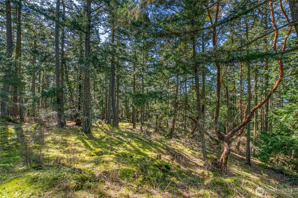 424 Logan's Run Road Orcas Island WA 98243