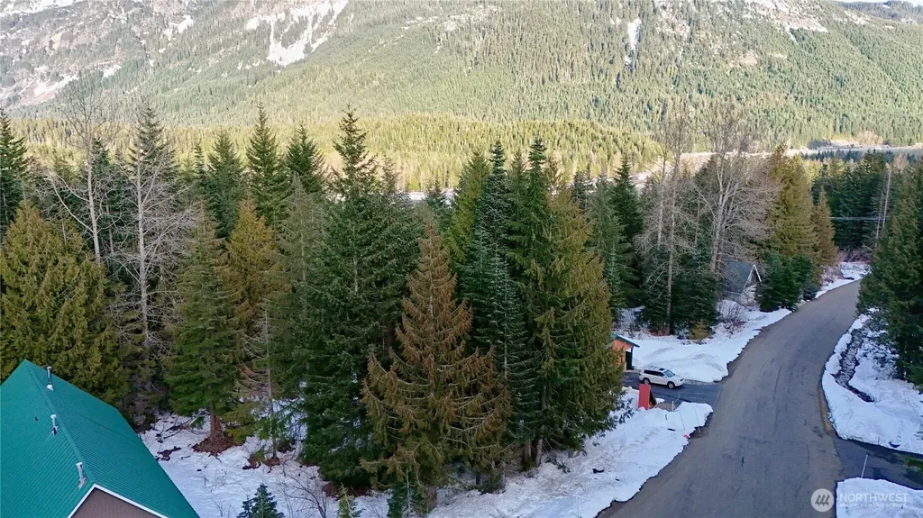 56 Snoqualmie Drive Snoqualmie Pass WA 98068
