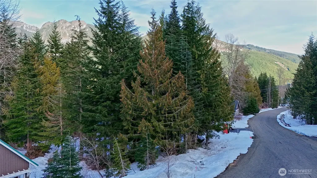 56 Snoqualmie Drive Snoqualmie Pass WA 98068