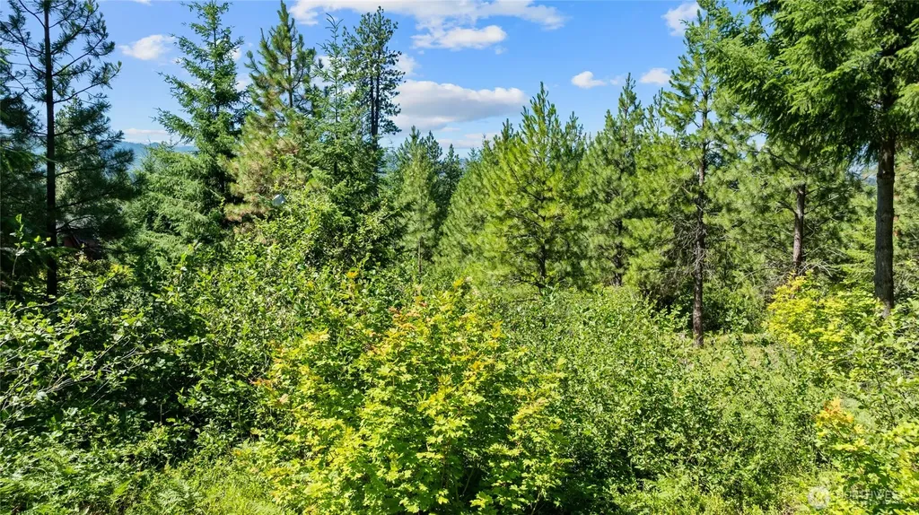 3690 Swiftwater Drive Cle Elum WA 98922