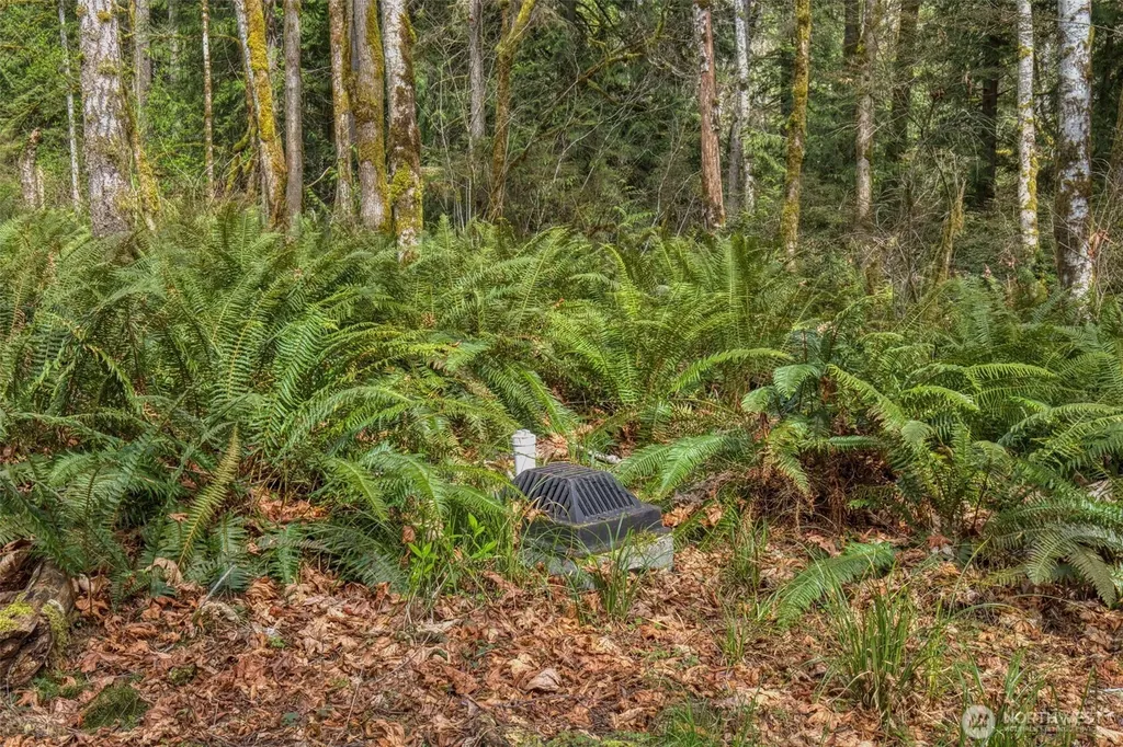 435 NW Sword Fern Lane Poulsbo WA 98370