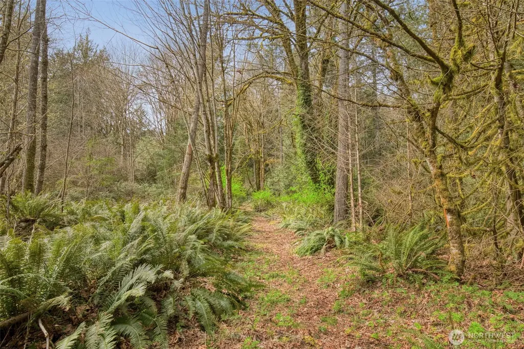 435 NW Sword Fern Lane Poulsbo WA 98370