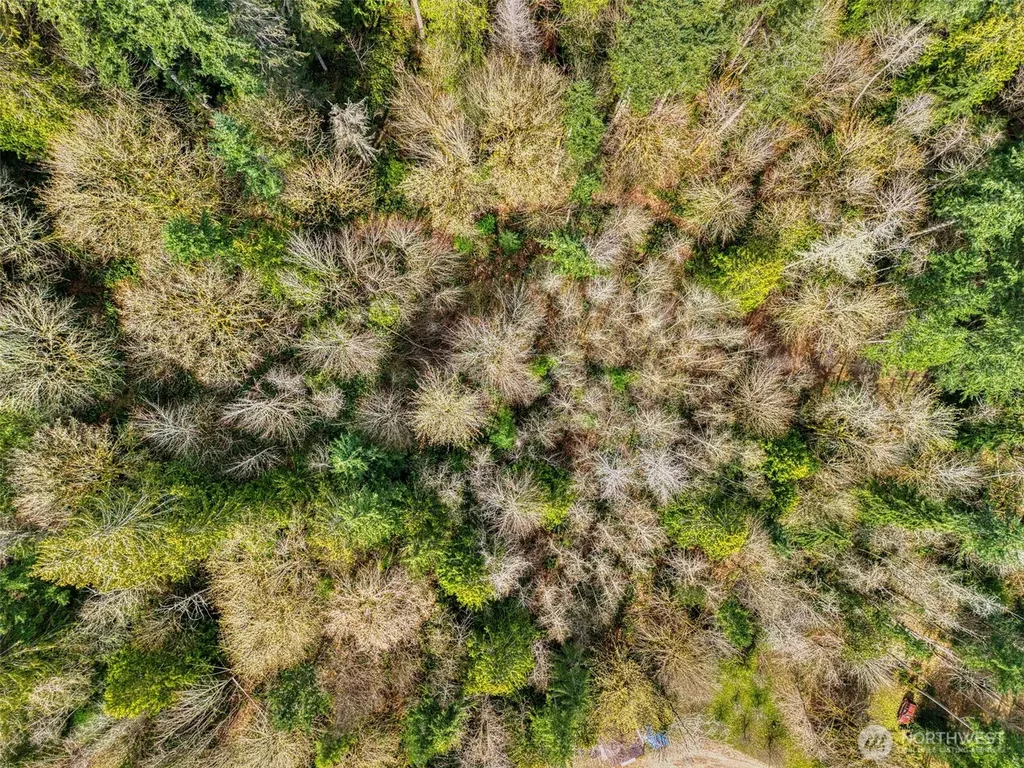 435 NW Sword Fern Lane Poulsbo WA 98370