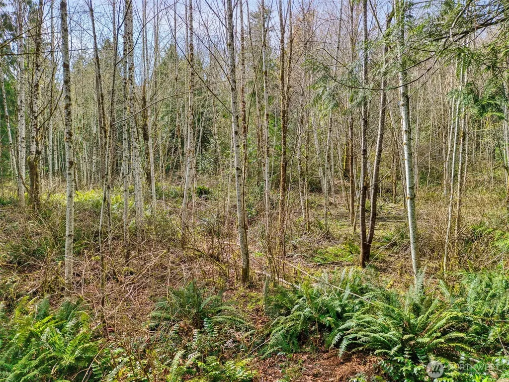 435 NW Sword Fern Lane Poulsbo WA 98370