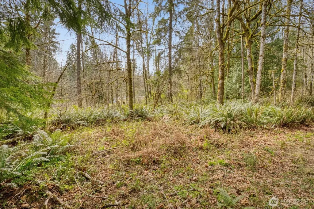 435 NW Sword Fern Lane Poulsbo WA 98370