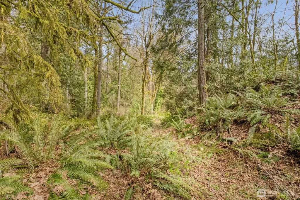 435 NW Sword Fern Lane Poulsbo WA 98370