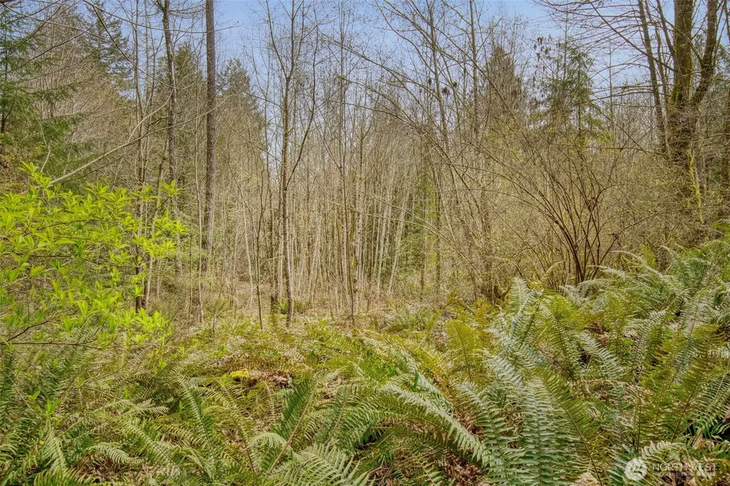 435 NW Sword Fern Lane Poulsbo WA 98370