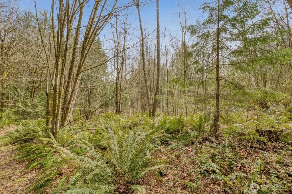 435 NW Sword Fern Lane Poulsbo WA 98370