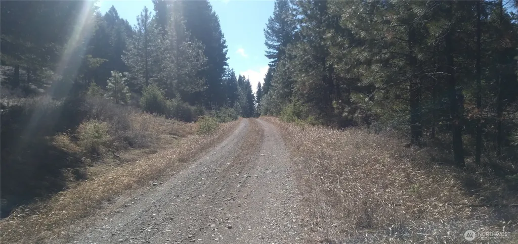 51 Trap Line Loop Road Oroville WA 98844