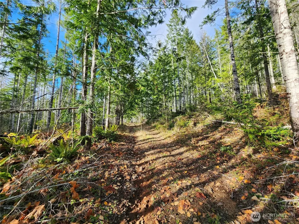 0 Rocky Brook Road Brinnon WA 98320