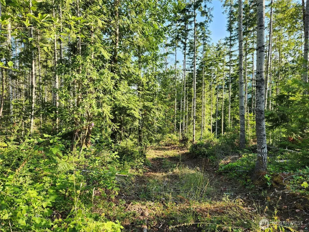 0 Rocky Brook Road Brinnon WA 98320