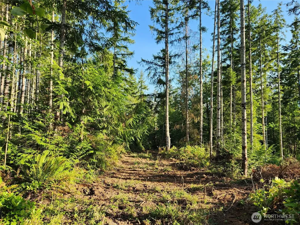 0 Rocky Brook Road Brinnon WA 98320