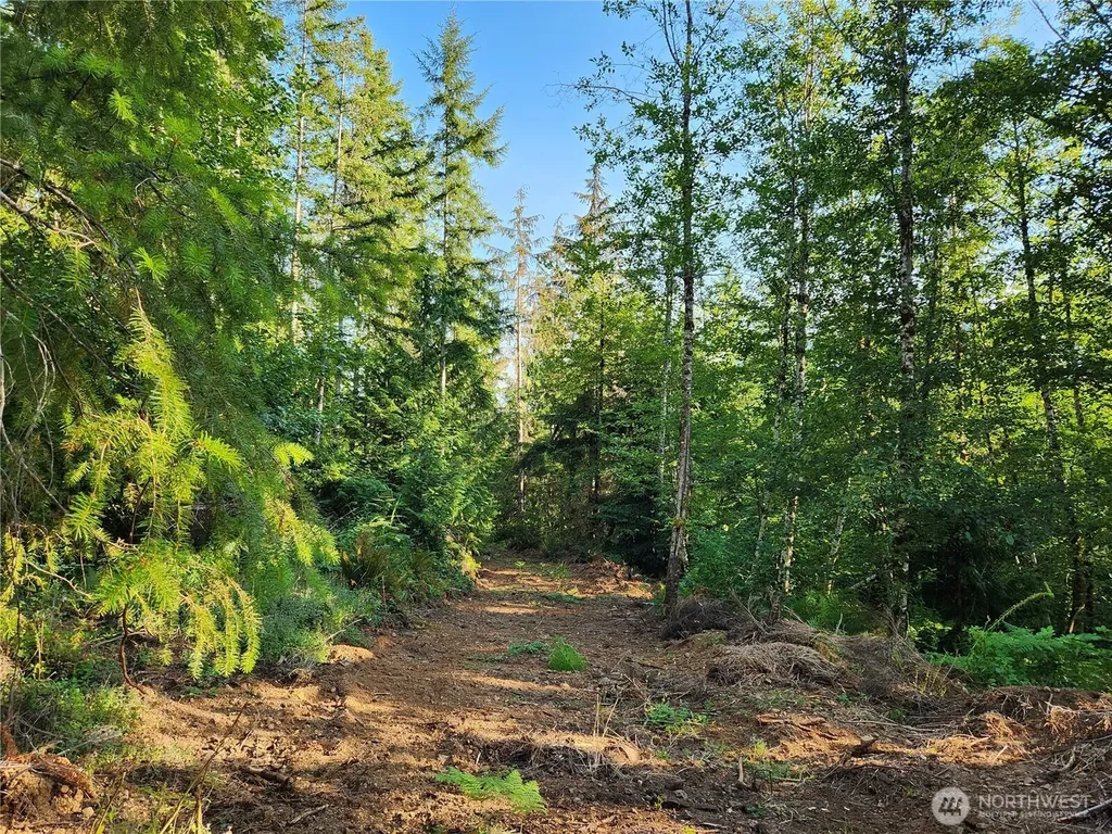 0 Rocky Brook Road Brinnon WA 98320