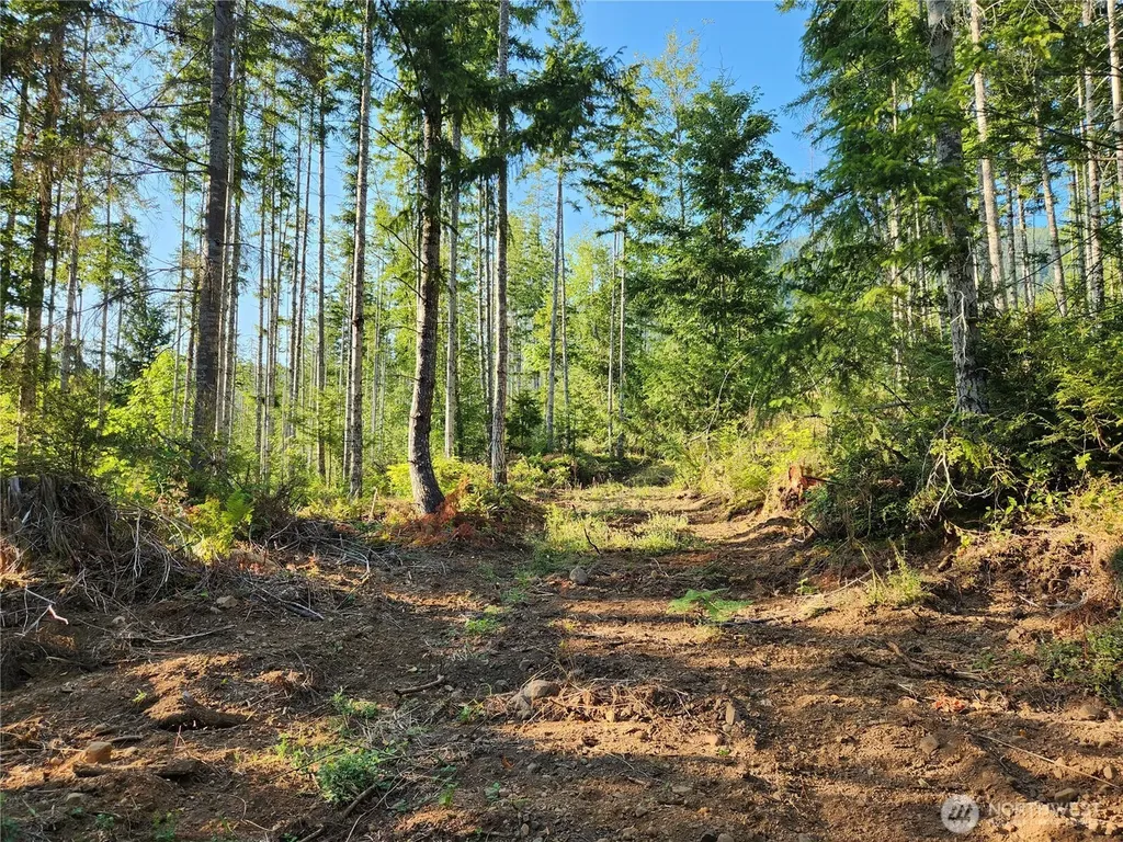 0 Rocky Brook Road Brinnon WA 98320
