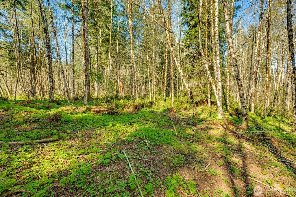 0 Buncombe Hollow Road NE Woodland WA 98674