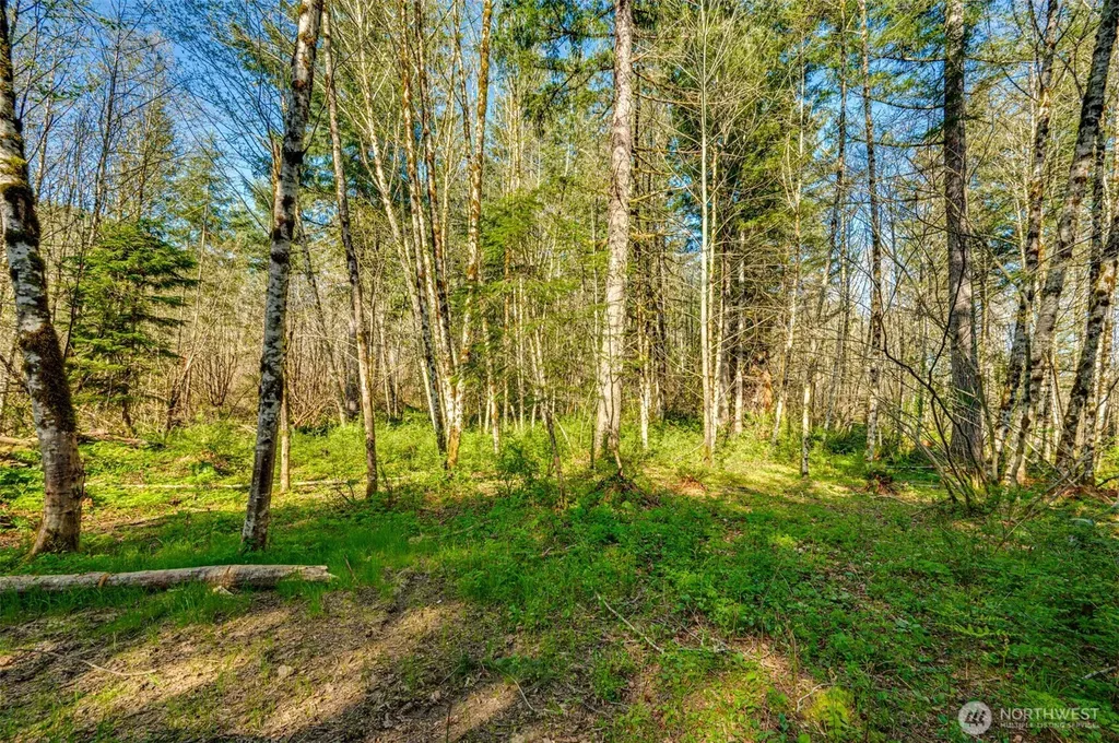 0 Buncombe Hollow Road NE Woodland WA 98674
