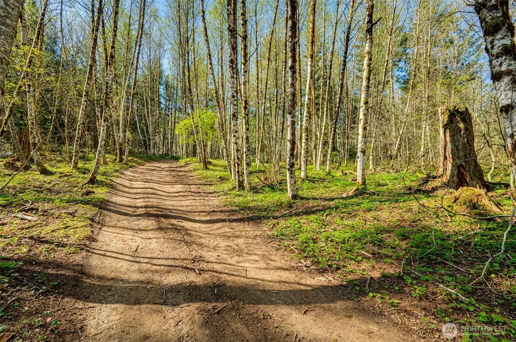 0 Buncombe Hollow Road NE Woodland WA 98674