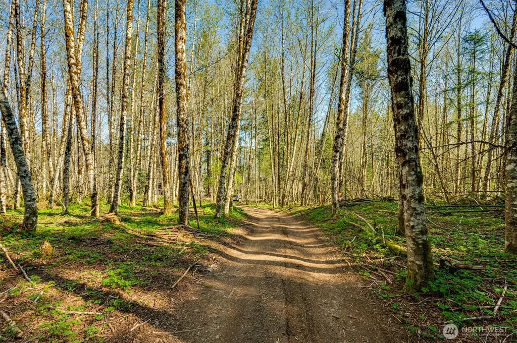 0 Buncombe Hollow Road NE Woodland WA 98674