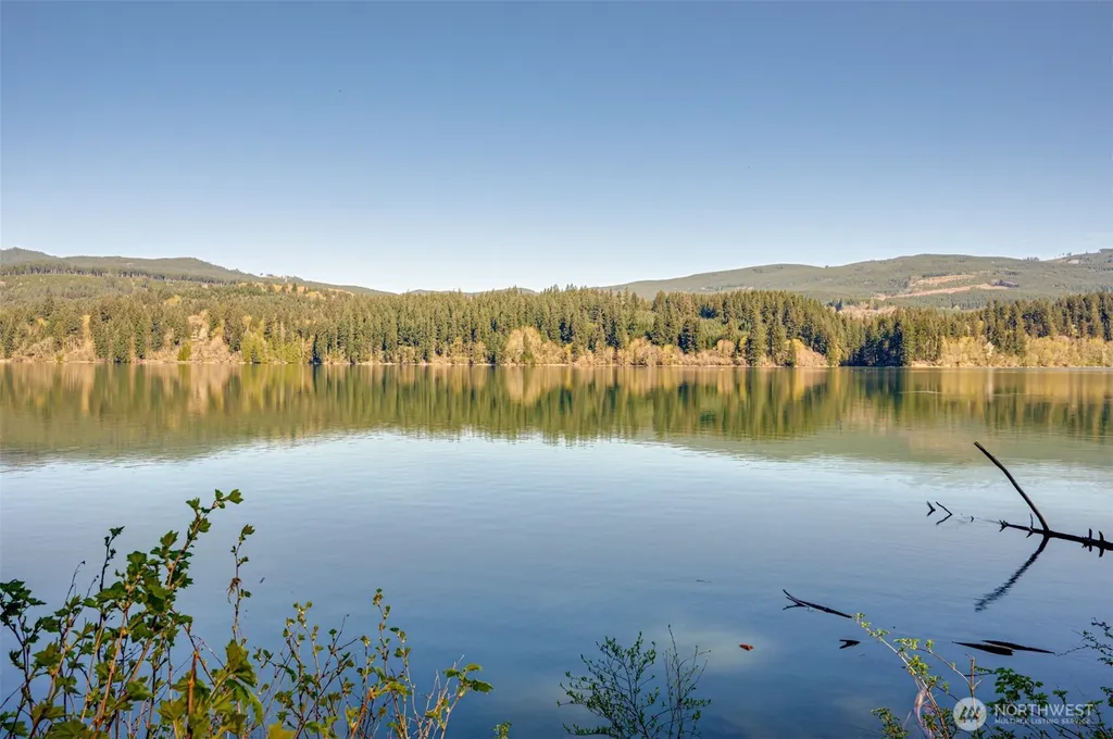 0 Buncombe Hollow Road NE Woodland WA 98674