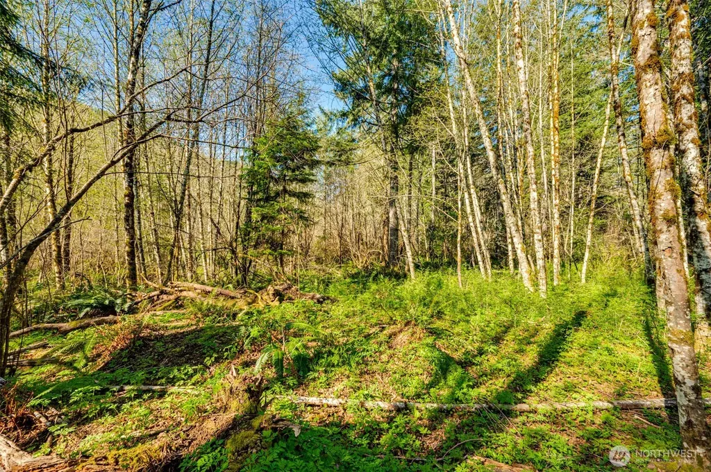 0 Buncombe Hollow Road NE Woodland WA 98674