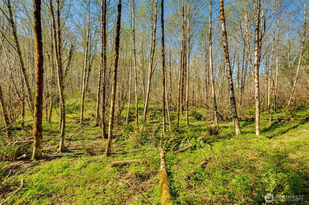 0 Buncombe Hollow Road NE Woodland WA 98674