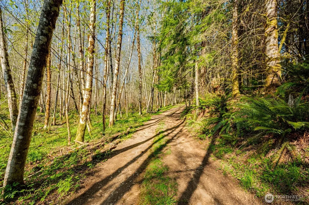 0 Buncombe Hollow Road NE Woodland WA 98674