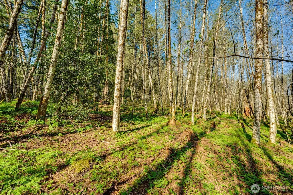 0 Buncombe Hollow Road NE Woodland WA 98674