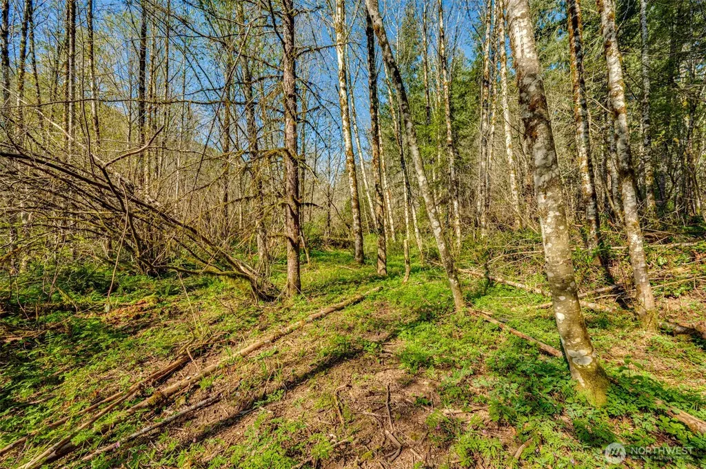 0 Buncombe Hollow Road NE Woodland WA 98674