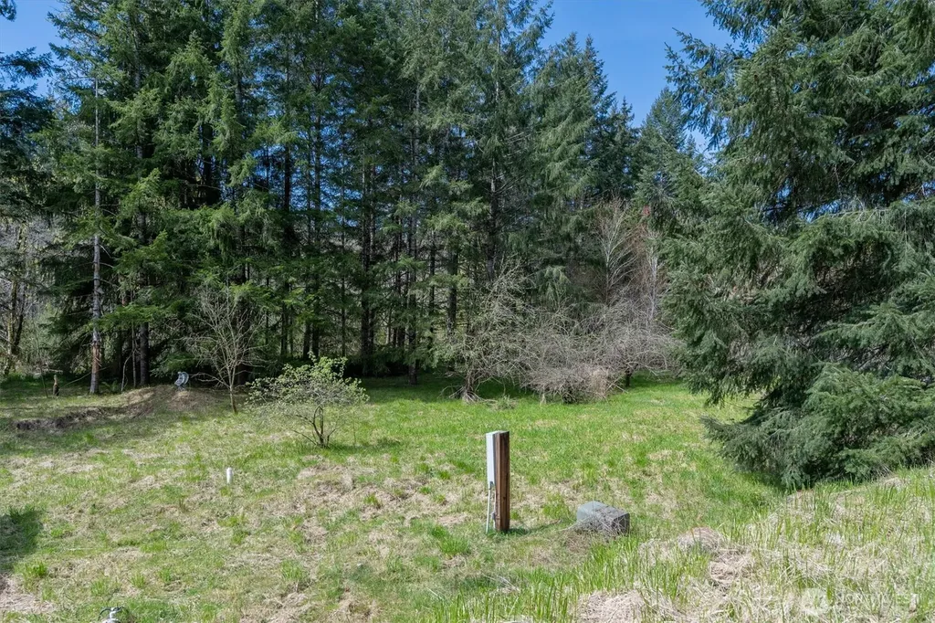5815 Rose Valley Road Kelso WA 98626