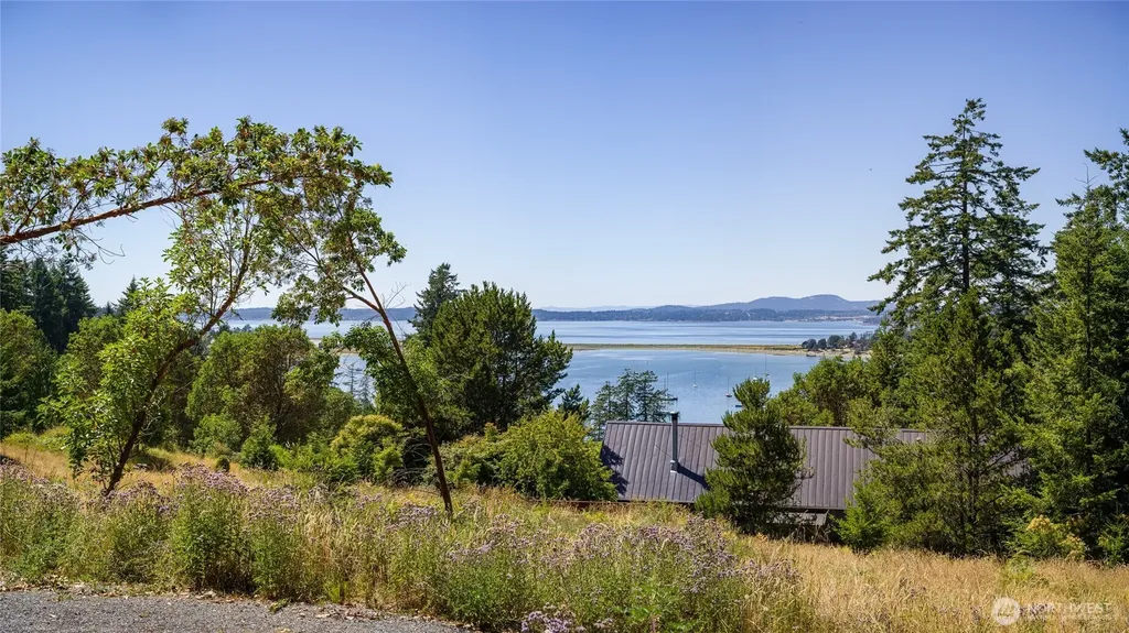 295 Rum Runner Road Lopez Island WA 98261