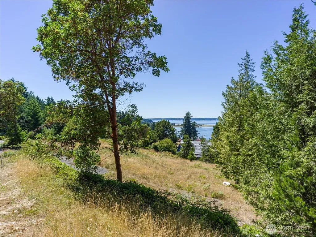 295 Rum Runner Road Lopez Island WA 98261