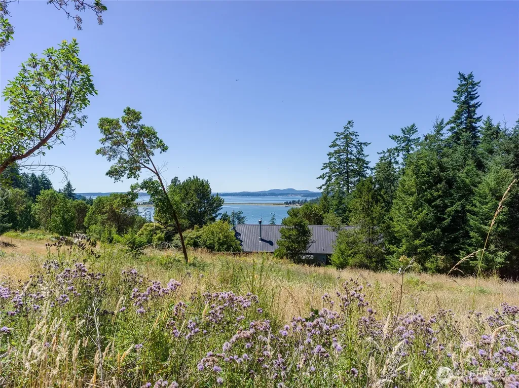 295 Rum Runner Road Lopez Island WA 98261