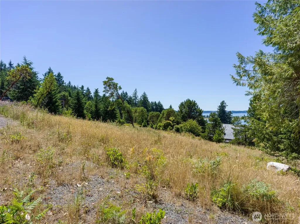 295 Rum Runner Road Lopez Island WA 98261
